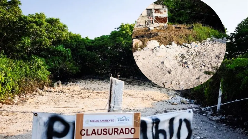 Clausuran dos predios en Chicxulub Puerto por dañar manglares