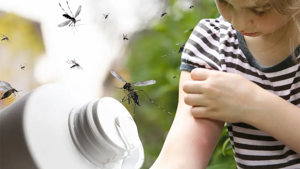 Mosquitos en Yucatán: 5 consejos para dormir sin picaduras