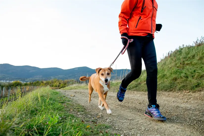La carrera Run 4 Paws fue pospuesta por el pronóstico de lluvias en La Paz. Foto: Biblioteca Canva