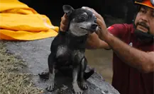 ¡Super rescate! Salvan a perrito que cayó a canal pluvial en Escobedo