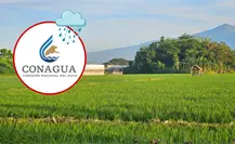 Durango superó la sequía prolongada gracias al repunte de lluvias