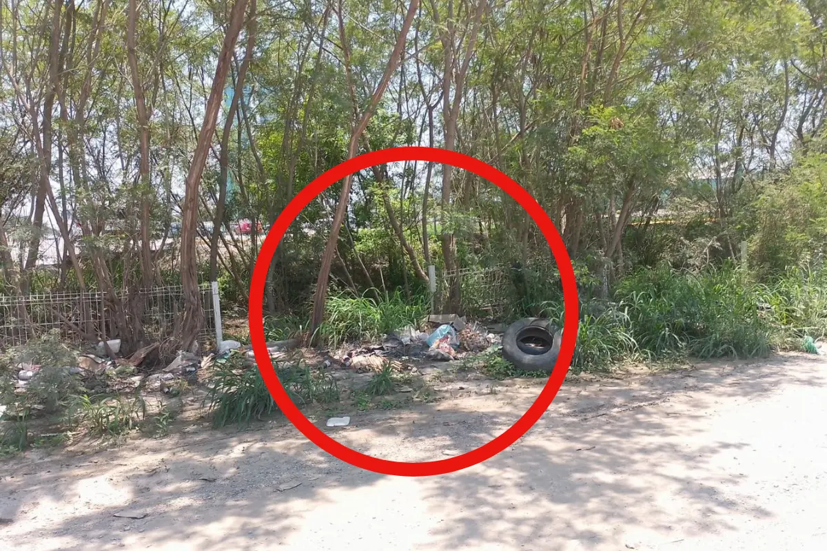 En Tamaulipas se detectaron más de mil tiraderos clandestinos que afectan la salud pública y el medio ambiente en 43 municipios.