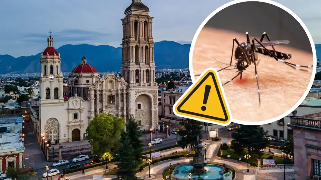 Coahuila reduce la incidencia dengue en un 90%, esto dijo la Secretaría de Salud