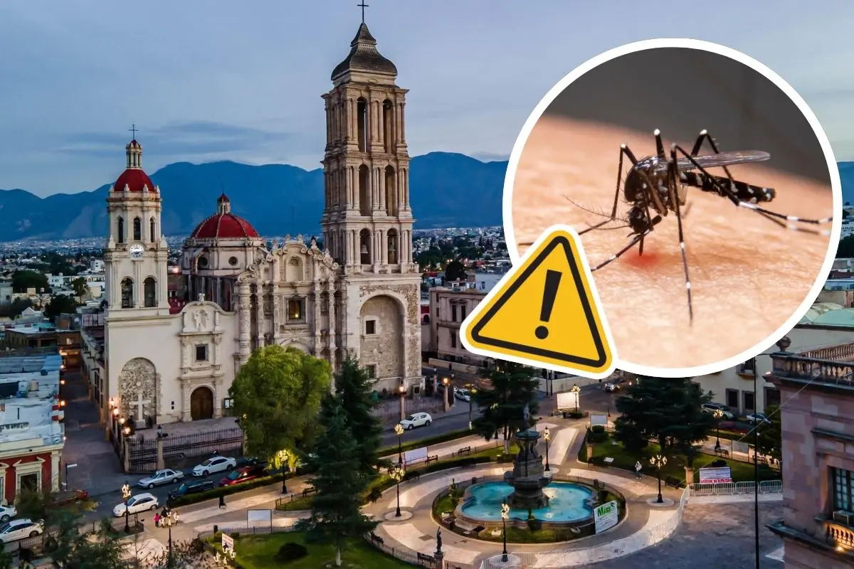 Coahuila loga contener el dengue tras reducción de incidencia / Foto: Archivo POSTA MX | Canva