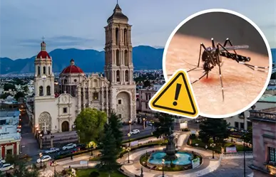 Coahuila reduce la incidencia dengue en un 90%, esto dijo la Secretaría de Salud