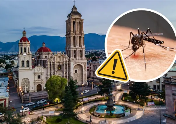 Coahuila reduce la incidencia dengue en un 90%, esto dijo la Secretaría de Salud