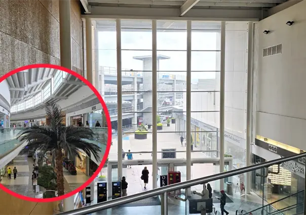 Paseo Durango y sus principales problemas, según sus propios clientes