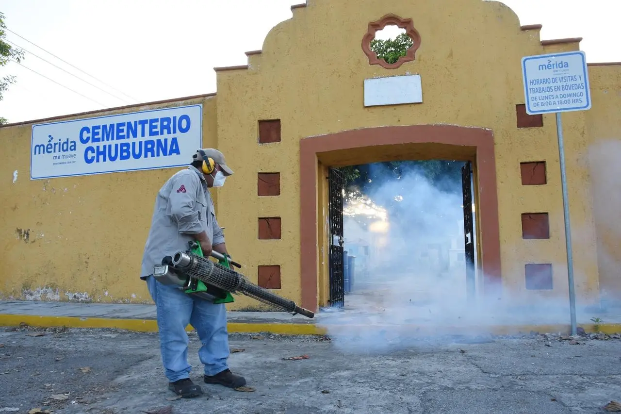 ¿Cuándo y dónde se realizarán las fumigaciones en Mérida? Foto: Cortesía