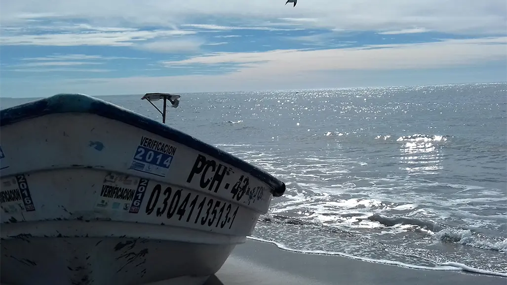 ¿Dónde va la tormenta Priscilla y qué afectaciones dejaría en BCS?