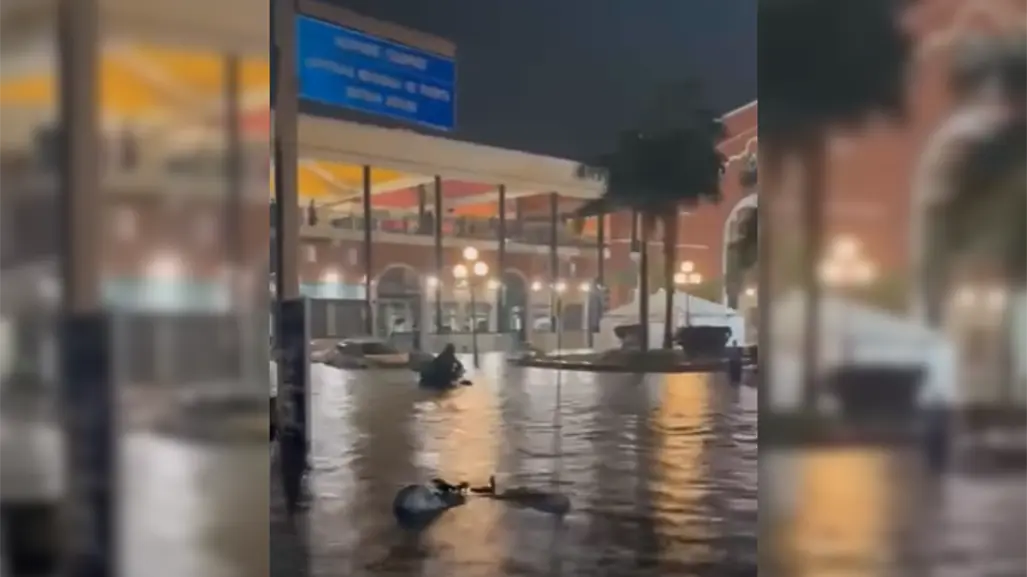 Tamaulipas prioriza seguridad escolar ante intensas lluvias en el sur; clases podrán ser virtuales