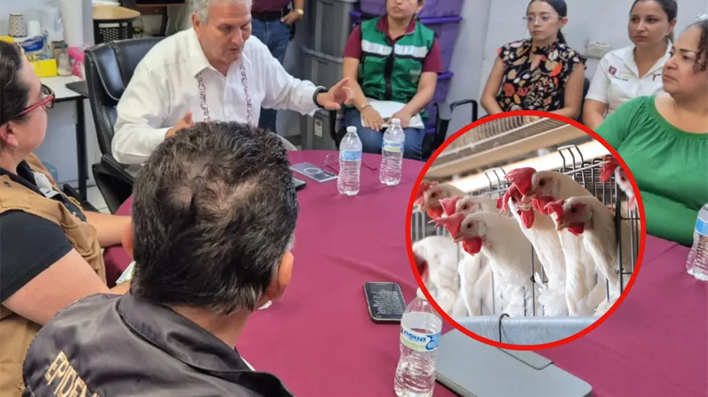 En vigilancia preventiva 8 colonias y 2 ejidos de Matamoros ante influenza aviar