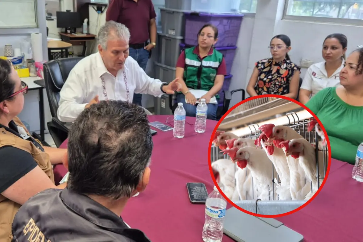 Sector Salud mantiene monitoreo de gripe aviar en Matamoros, Tamaulipas | Foto: Daniel Espinoza