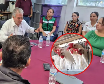En vigilancia preventiva 8 colonias y 2 ejidos de Matamoros ante influenza aviar