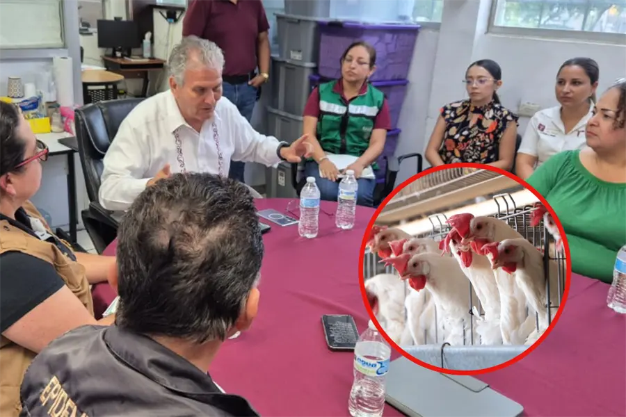 En vigilancia preventiva 8 colonias y 2 ejidos de Matamoros ante influenza aviar
