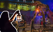 Noche de Linternas en el Museo del Desierto en Saltillo: ¿Aún hay boletos disponibles?