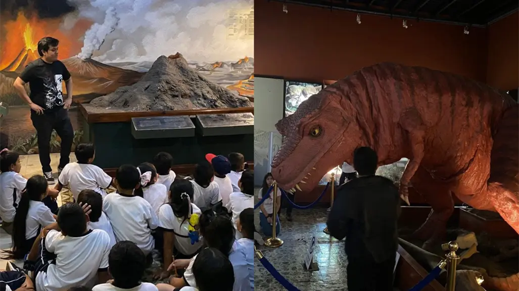 ¿Se remodelará el Museo de Historia Natural en Mérida? Esto se sabe