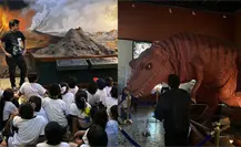 ¿Se remodelará el Museo de Historia Natural en Mérida? Esto se sabe ¿Se remodelará el Museo de Historia Natural en Mérida? Esto se sabe