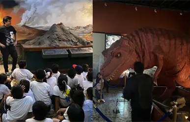 ¿Se remodelará el Museo de Historia Natural en Mérida? Esto se sabe