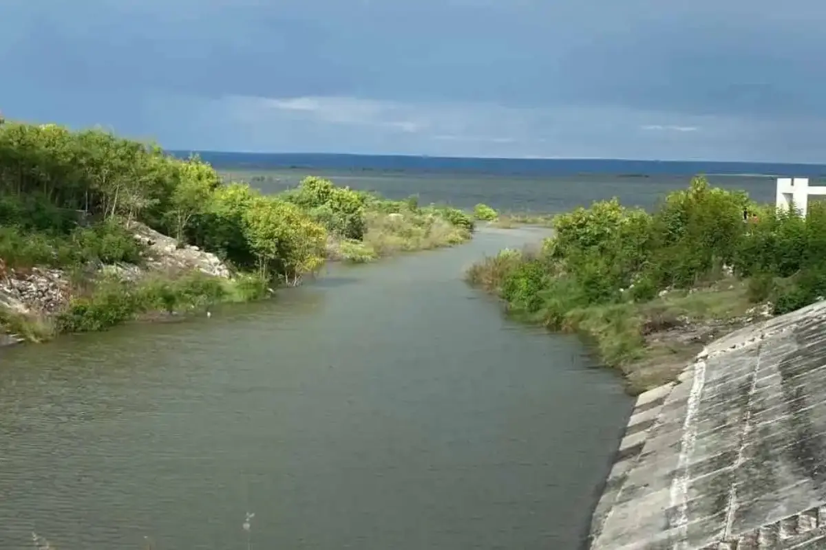 Mientras algunas presas superan el 100% de su capacidad gracias a las lluvias recientes, otras se encuentran en niveles alarmantemente bajos. Foto: CONAGUA