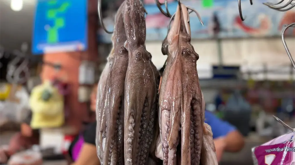 ¿Se abarató el precio del pulpo en mercados de Mérida? Esto dicen locatarios