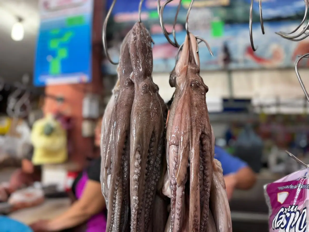 ¿Por qué bajó el precio del pulpo en Mérida?. Foto: Irving Gil