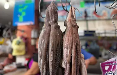 ¿Se abarató el precio del pulpo en mercados de Mérida? Esto dicen locatarios