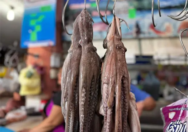 ¿Se abarató el precio del pulpo en mercados de Mérida? Esto dicen locatarios