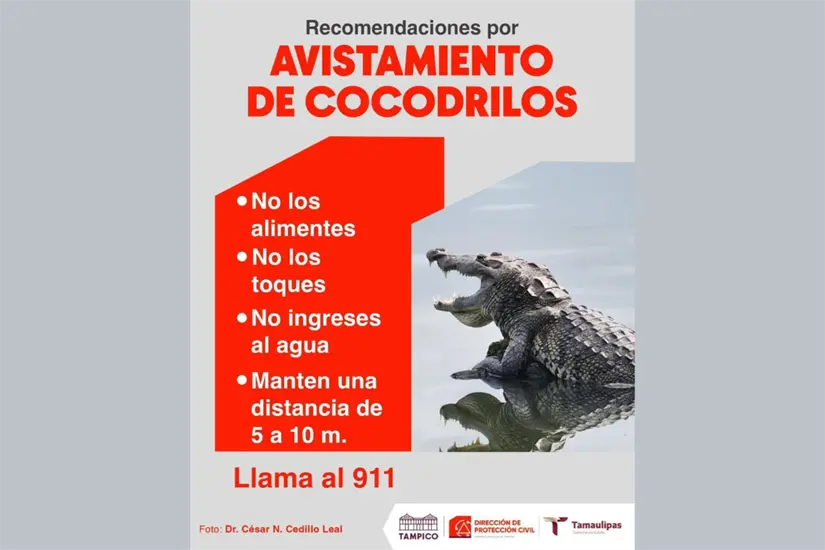 Procurar mantenerse lejos de los cocodrilos | Foto: Dirección Protección Civil