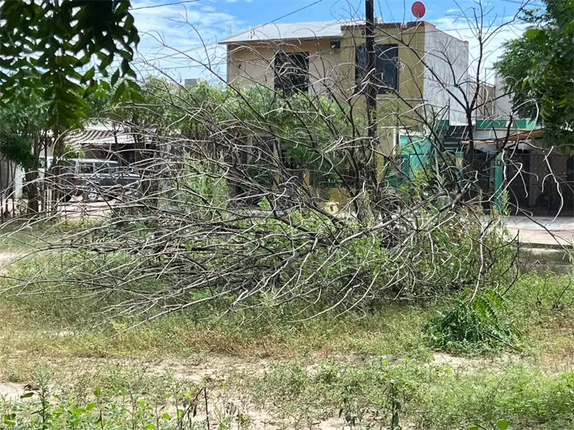 Foto: cortesía.