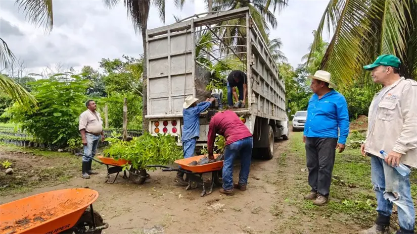 Foto: Secretaría de Medio Ambiente de Tabasco