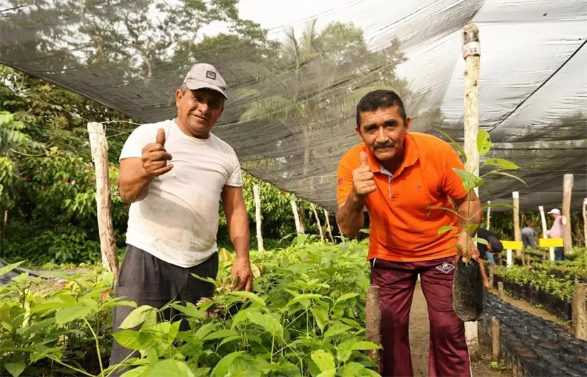 Foto: Secretaría de Medio Ambiente de Tabasco