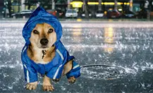 Pronóstico del clima en Durango para este 10 de octubre: lluvias ligeras y ambiente templado