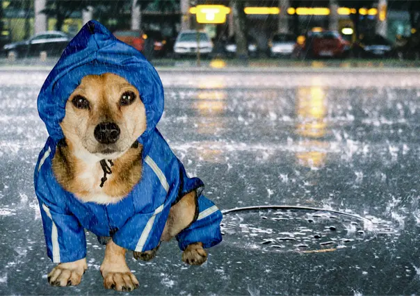 Pronóstico del clima en Durango para este 10 de octubre: lluvias ligeras y ambiente templado