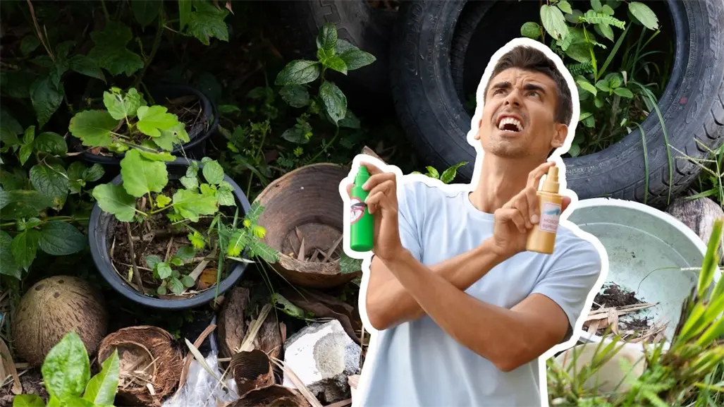 ¿Cómo eliminar los criaderos de mosquitos en casa? Esto es lo que debes de saber