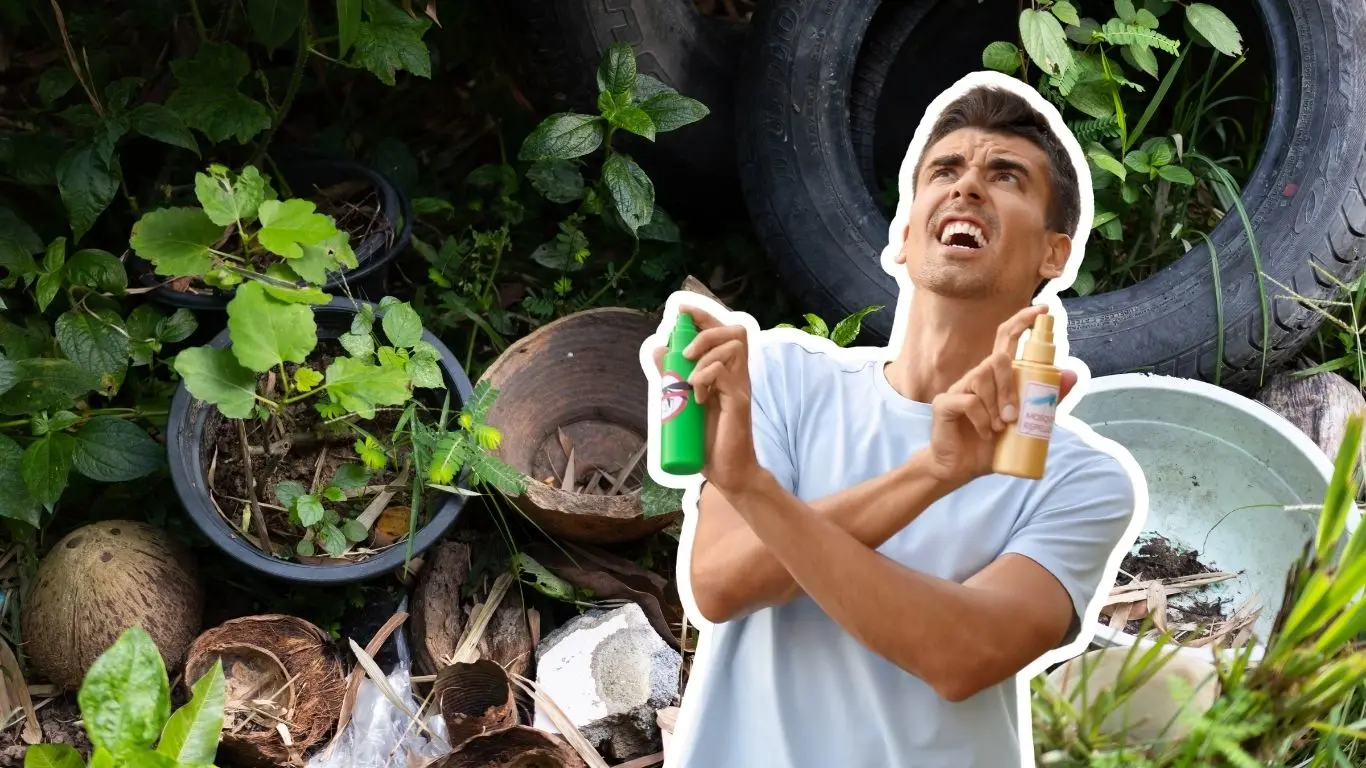 ¿Cómo eliminar los criaderos de mosquitos en casa?. Foto: Canva