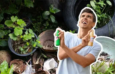 ¿Cómo eliminar los criaderos de mosquitos en casa? Esto es lo que debes de saber