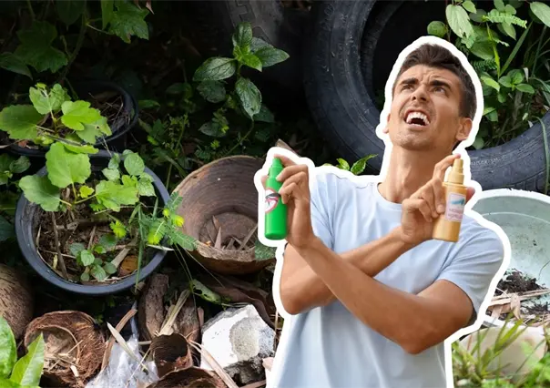 ¿Cómo eliminar los criaderos de mosquitos en casa? Esto es lo que debes de saber
