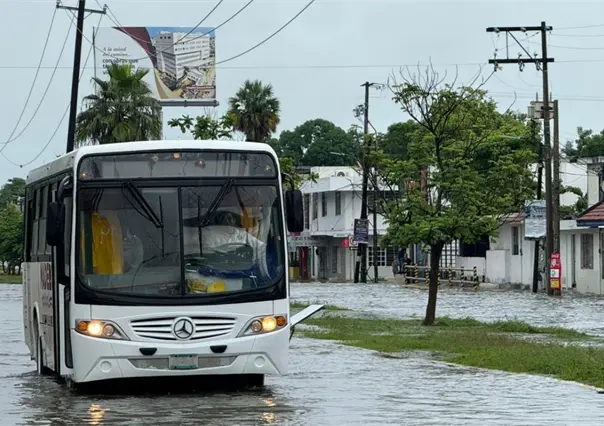 Estas son las colonias más afectadas por lluvia en Madero: 5 pulgadas de agua en 24 horas