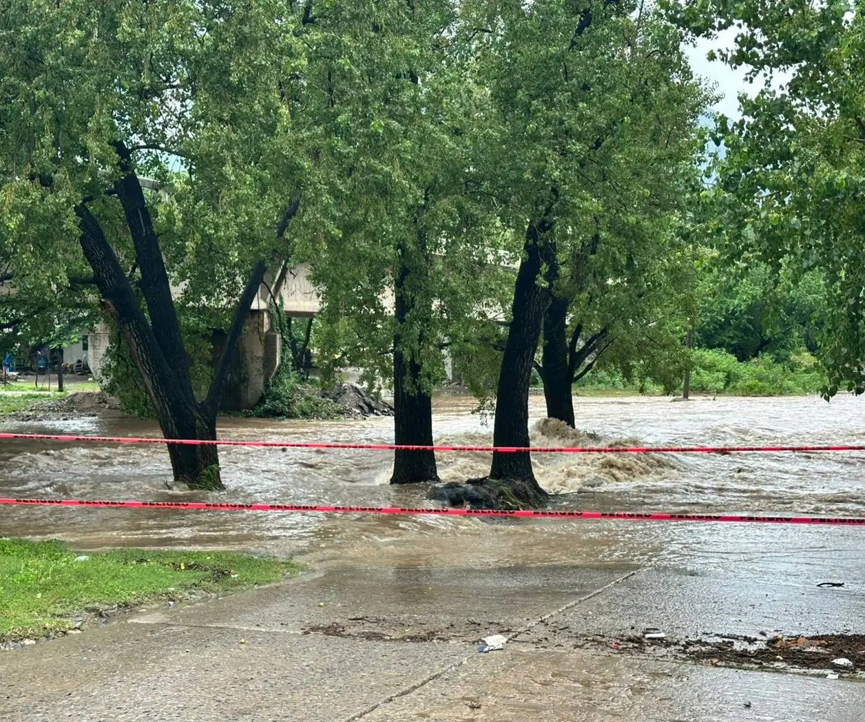 Las intensas lluvias registradas en los últimos días en el centro y sur de Tamaulipas fueron recibidas como una bendición. Foto: Protección Civil