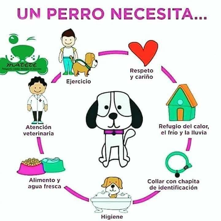 imagen-cuerpo imagen-cuerpo