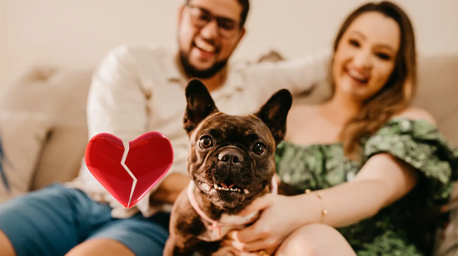 La potestad animal alude a la relación de poder entre humanos y animales. Foto: Especial.