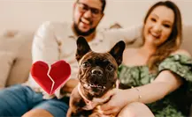 ¿Qué es la potestad animal y por qué se habla tanto de ella en Durango?