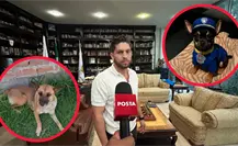 El arquitecto de Durango que donará parte de sus ganancias a perros y gatos rescatados 