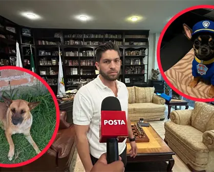 El arquitecto de Durango que donará parte de sus ganancias a perros y gatos rescatados 