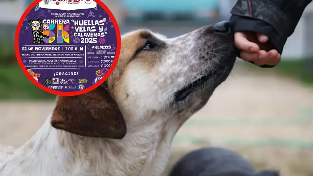 Carrera  Huellas, velas y calaveras en Reynosa, en favor de perritos callejeros