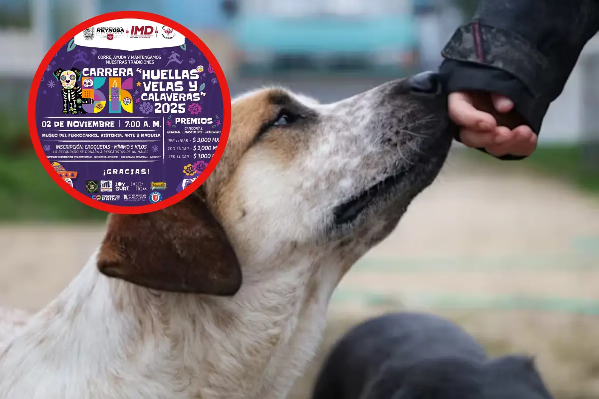 La carrera huellas velas y calaveras Reynosa invita a inscribirse con donación de croquetas para apoyar refugios de mascotas.