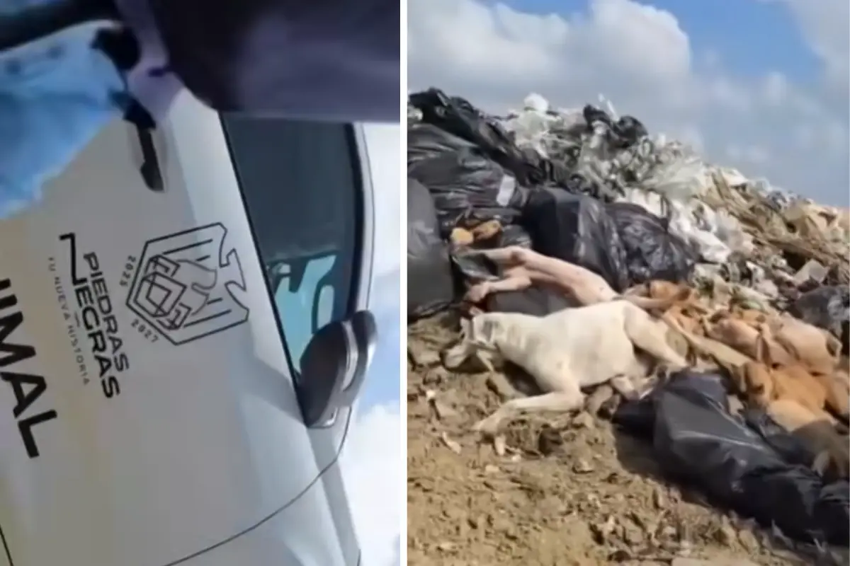 Jacobo Rodríguez afirmó que se abrirá una investigación interna en el municipio y que colaborarán con la Fiscalía General de Justicia de Coahuila, que ya inició una carpeta de investigación por posible maltrato o disposición indebida de restos animales./Foto: Redes Sociales
