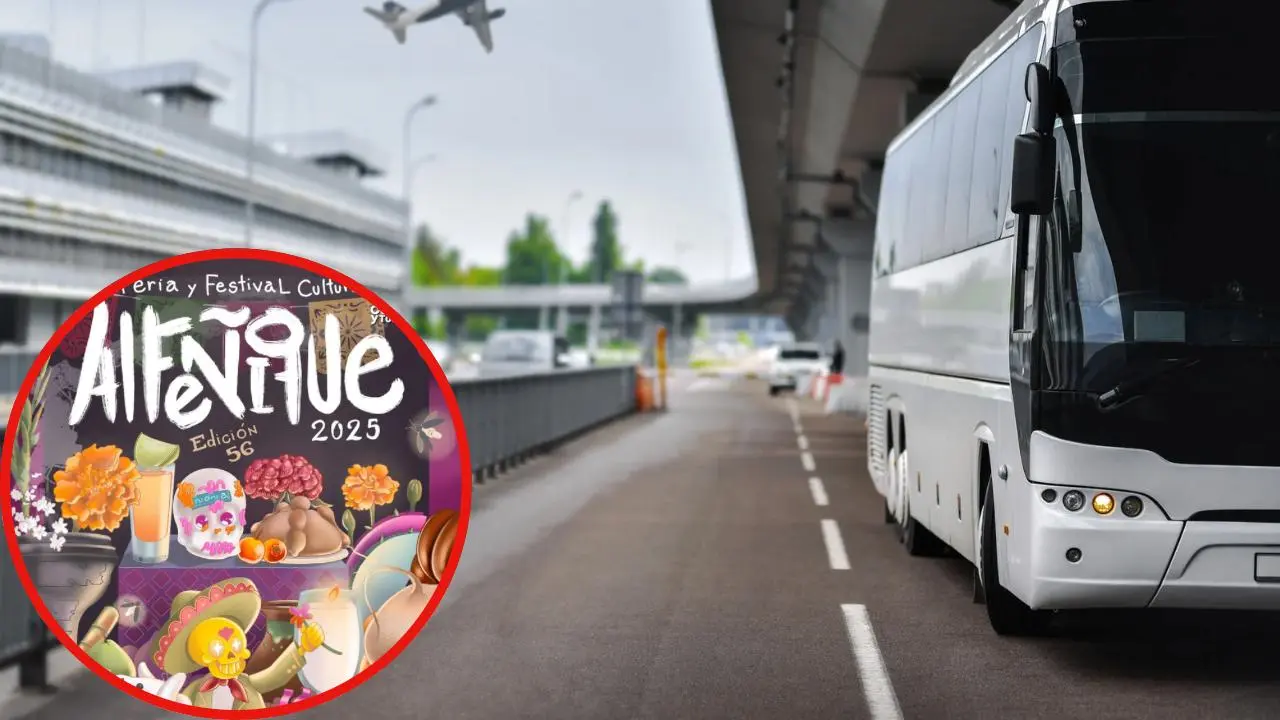 Feria del Alfeñique 2025: ¿cuáles son las mejores alternativas de transporte y estacionamiento? Foto: Ayuntamiento de Toluca / Canva
