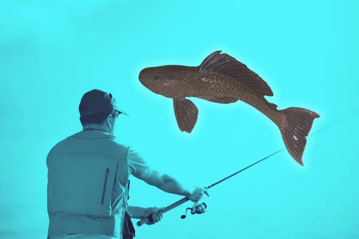 Un pescador y un pez diablo. Foto: Composición Canva