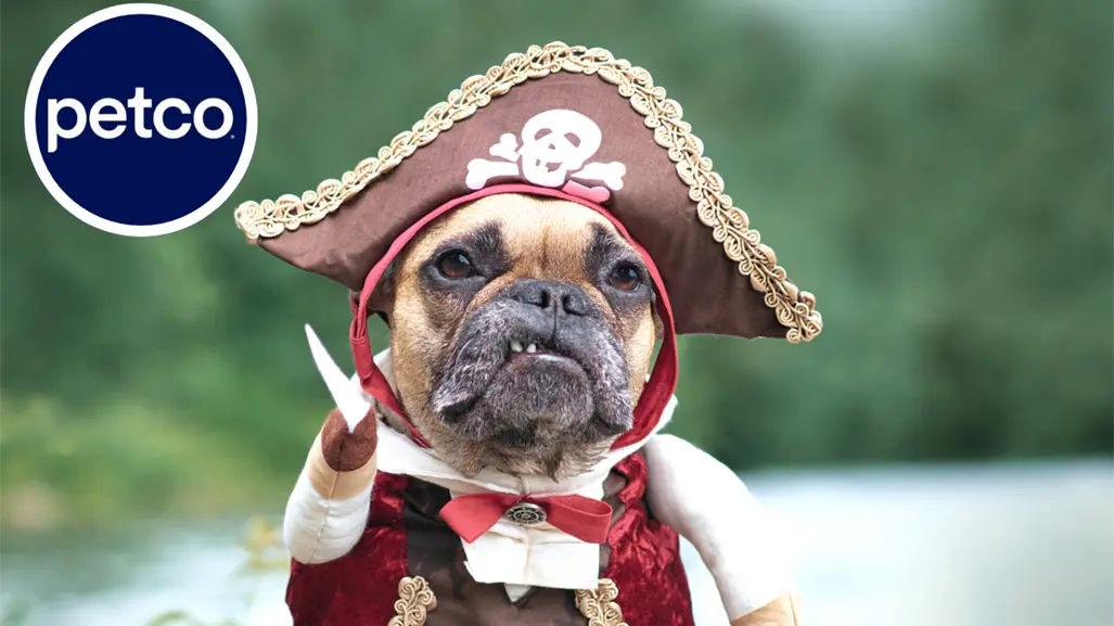 Halloween 2025: Disfraza a tus mascotas y participa en la pasarela Petco, ¿dónde y cuándo?